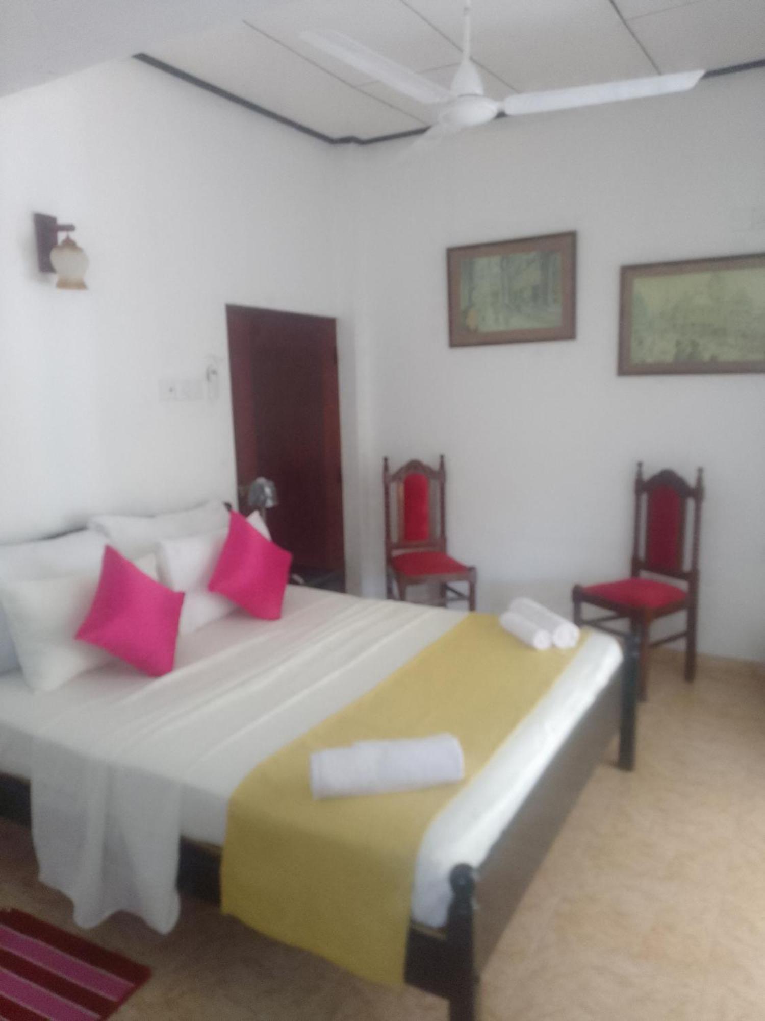Steur Villa Negombo Exteriör bild